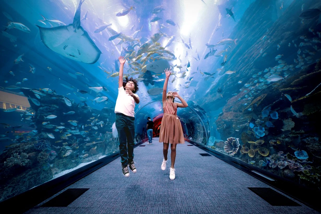 Dubai Aquarium & Underwater Zoo