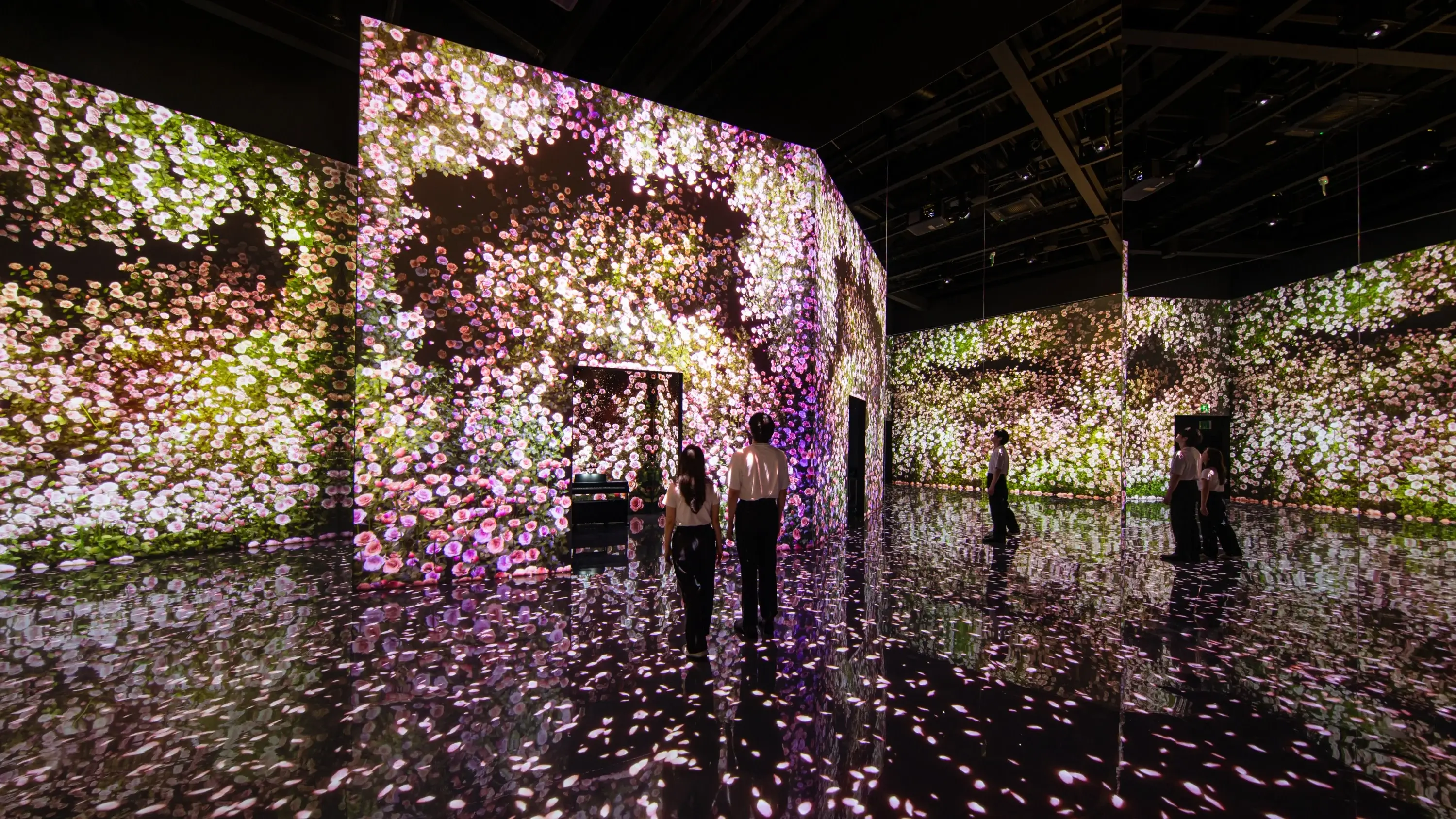 Experience 29