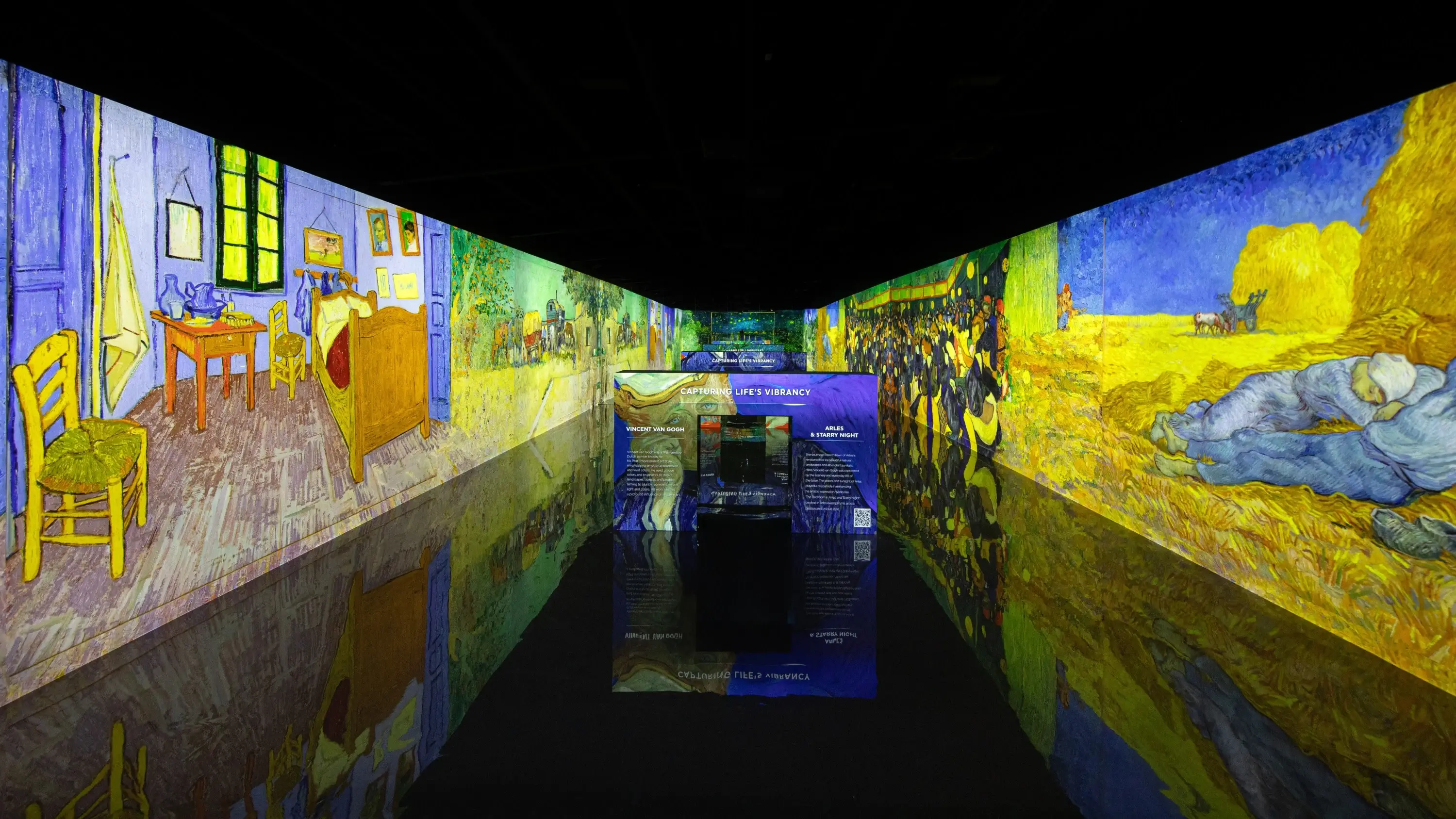 Experience 12