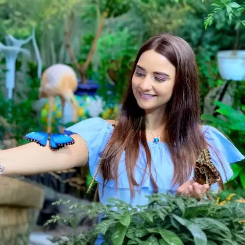 Butterfly Garden Dubai