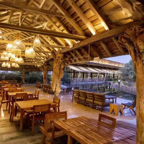 Dubai Crocodile Park