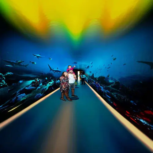 Experience 3