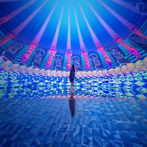 Experience 11