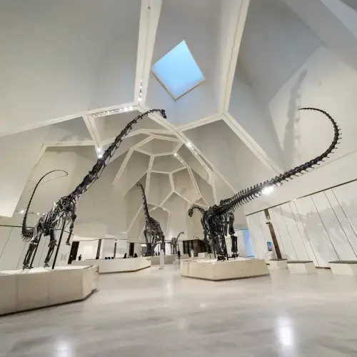 Natural History Museum Abu Dhabi