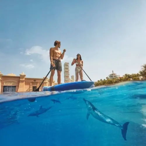 Dolphin Bay Atlantis